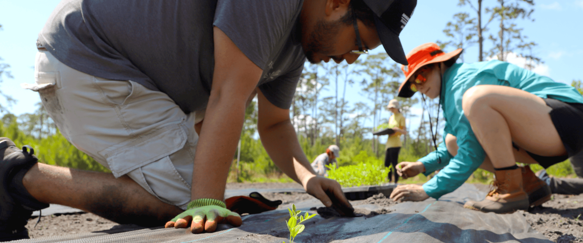 students at sapelo
