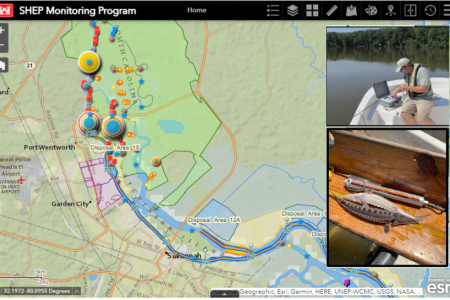 The SHEP monitoring software used in real time